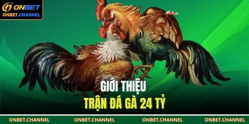Giới thiệu trận đá gà 24 tỷ