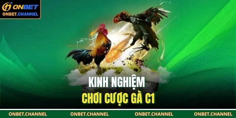 Gà Chọi C1 – Trải Nghiệm Sống Động, Hấp Dẫn Từng Giây 3 Kinh nghiệm chơi cược gà C1