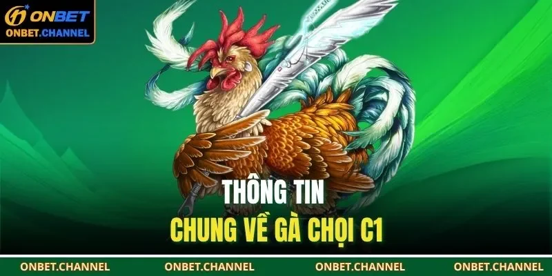 Gà Chọi C1 – Trải Nghiệm Sống Động, Hấp Dẫn Từng Giây 1 Thông tin chung về gà chọi C1