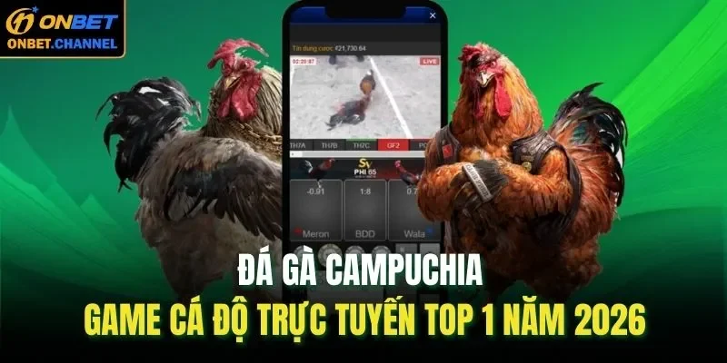 Đá gà Campuchia là một loại hình game đá gà trực tuyến